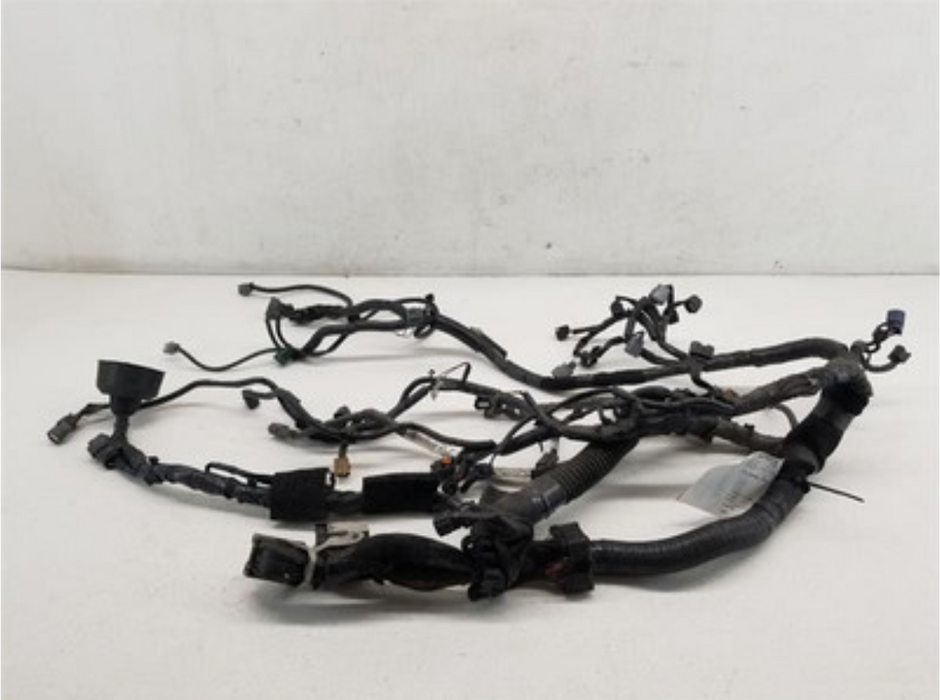 Engine Wiring W/ Dash Harness