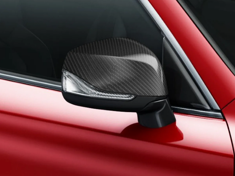 Side View Mirror Cover